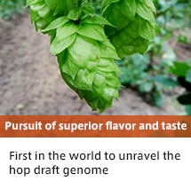 Pursuit of superior flavor and taste